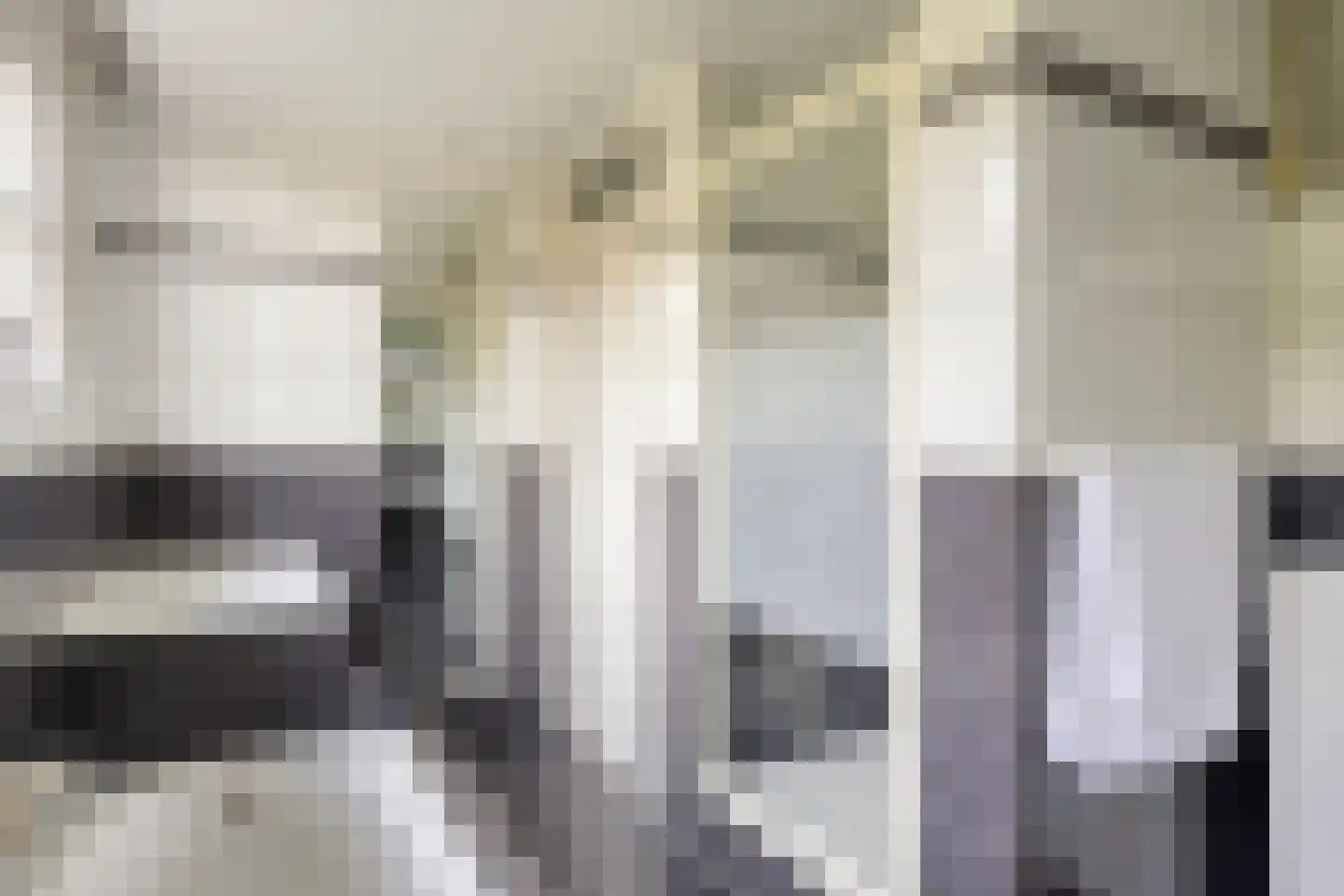 Hoef 2 a Ochten thumbnail 30