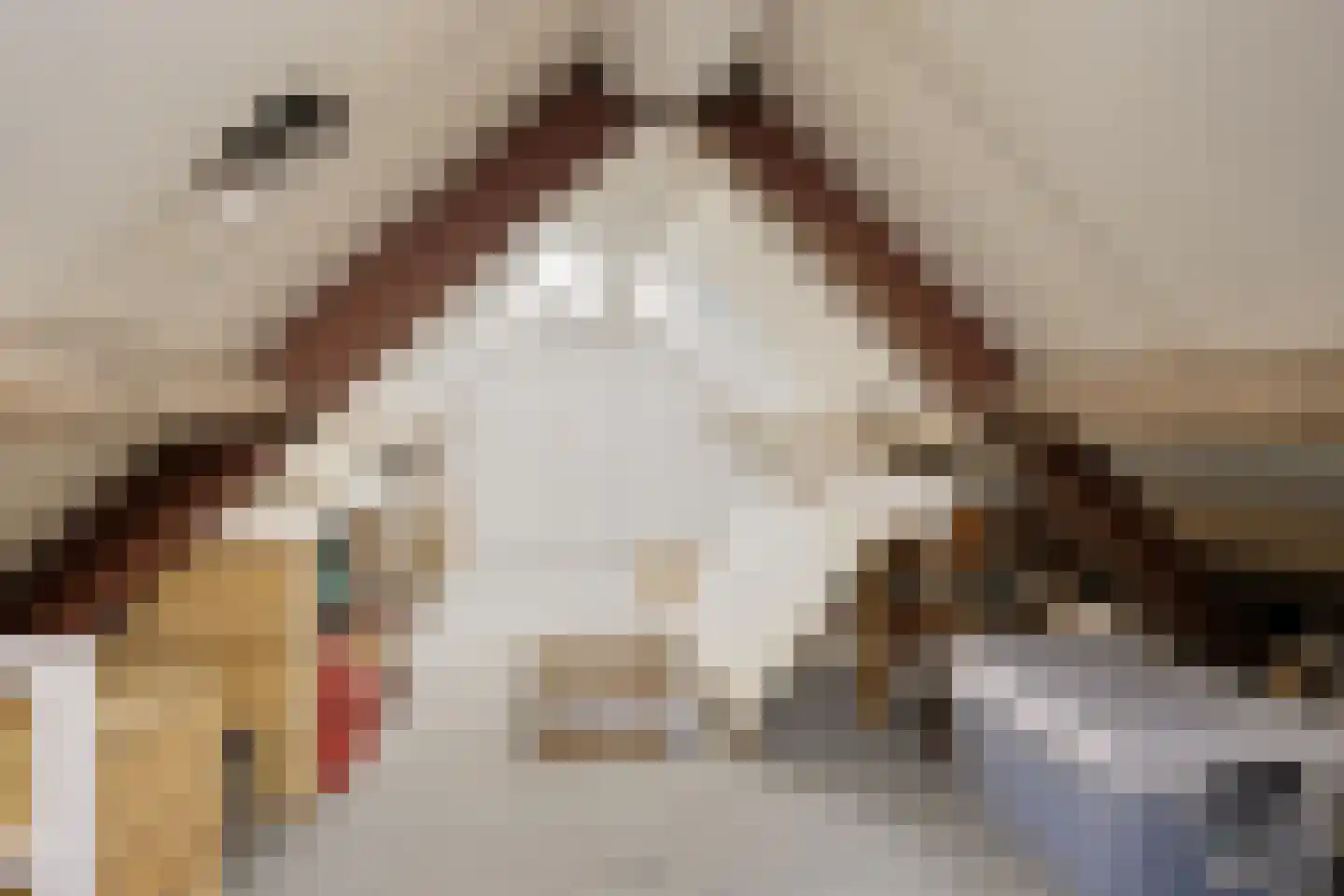 Hoef 2 a Ochten thumbnail 34