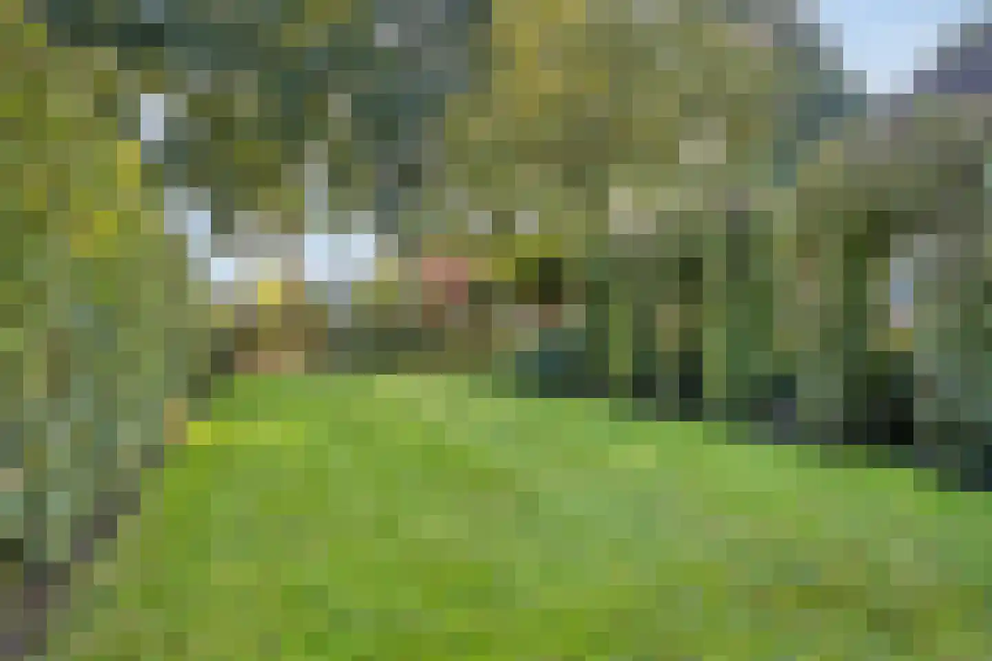 Hoef 2 a Ochten thumbnail 4