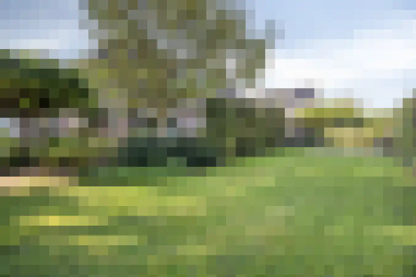 Hoef 2 a Ochten thumbnail 45