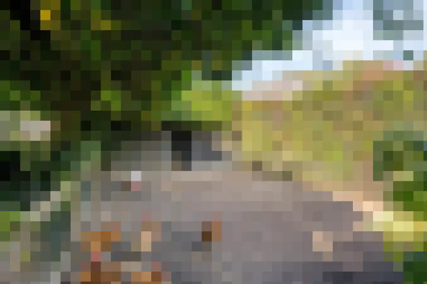 Hoef 2 a Ochten thumbnail 46