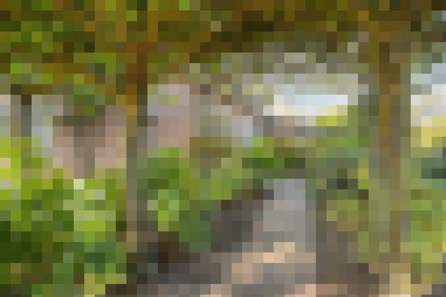 Hoef 2 a Ochten thumbnail 47