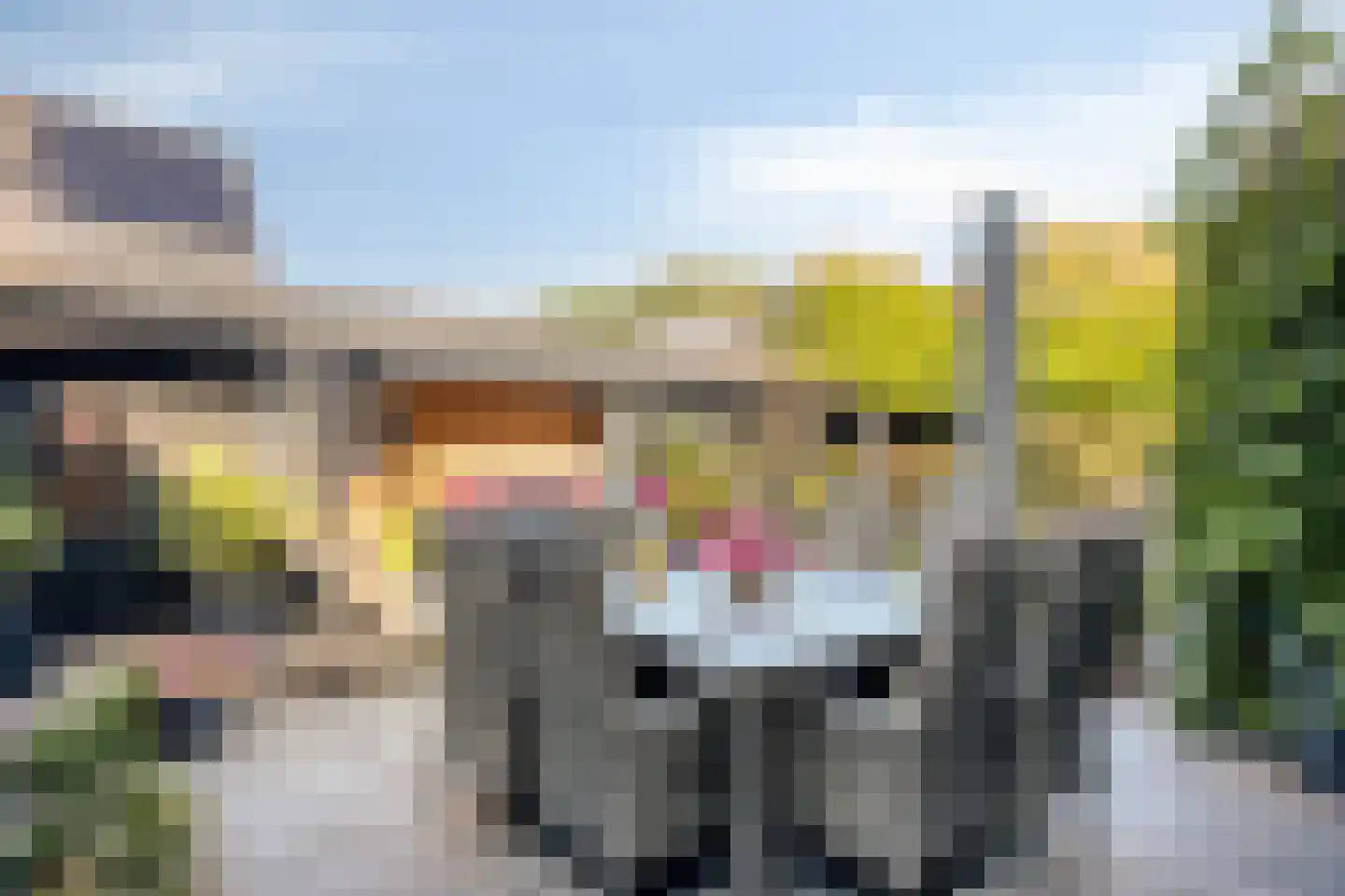 Hoef 2 a Ochten thumbnail 49