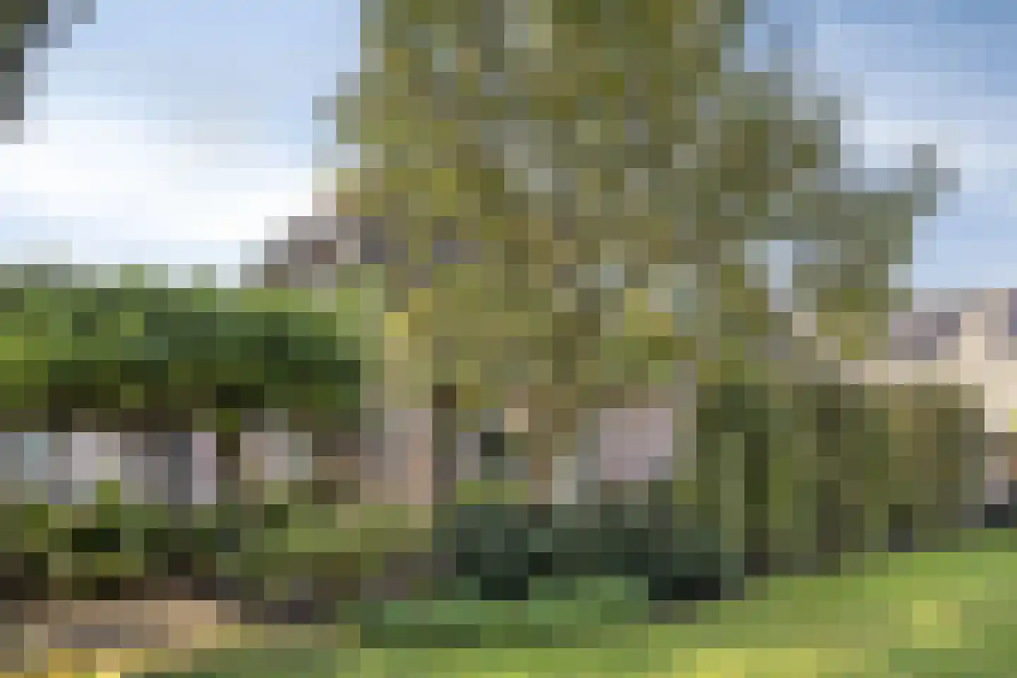 Hoef 2 a Ochten thumbnail 53