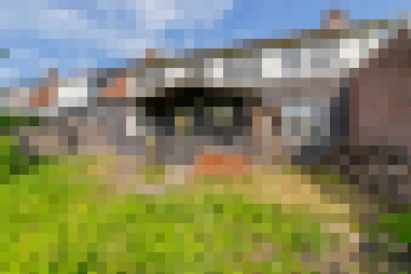 Hoef 5 Sleeuwijk thumbnail 10