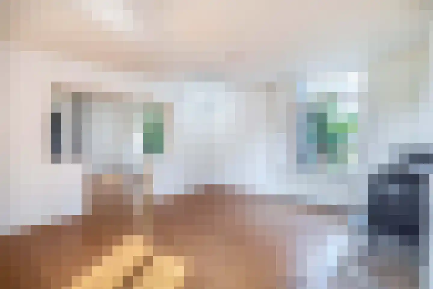Hoef 5 Sleeuwijk thumbnail 4