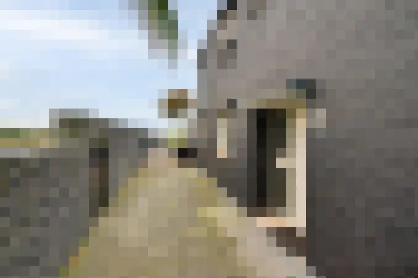 Hoefakker 10 Veen thumbnail 21