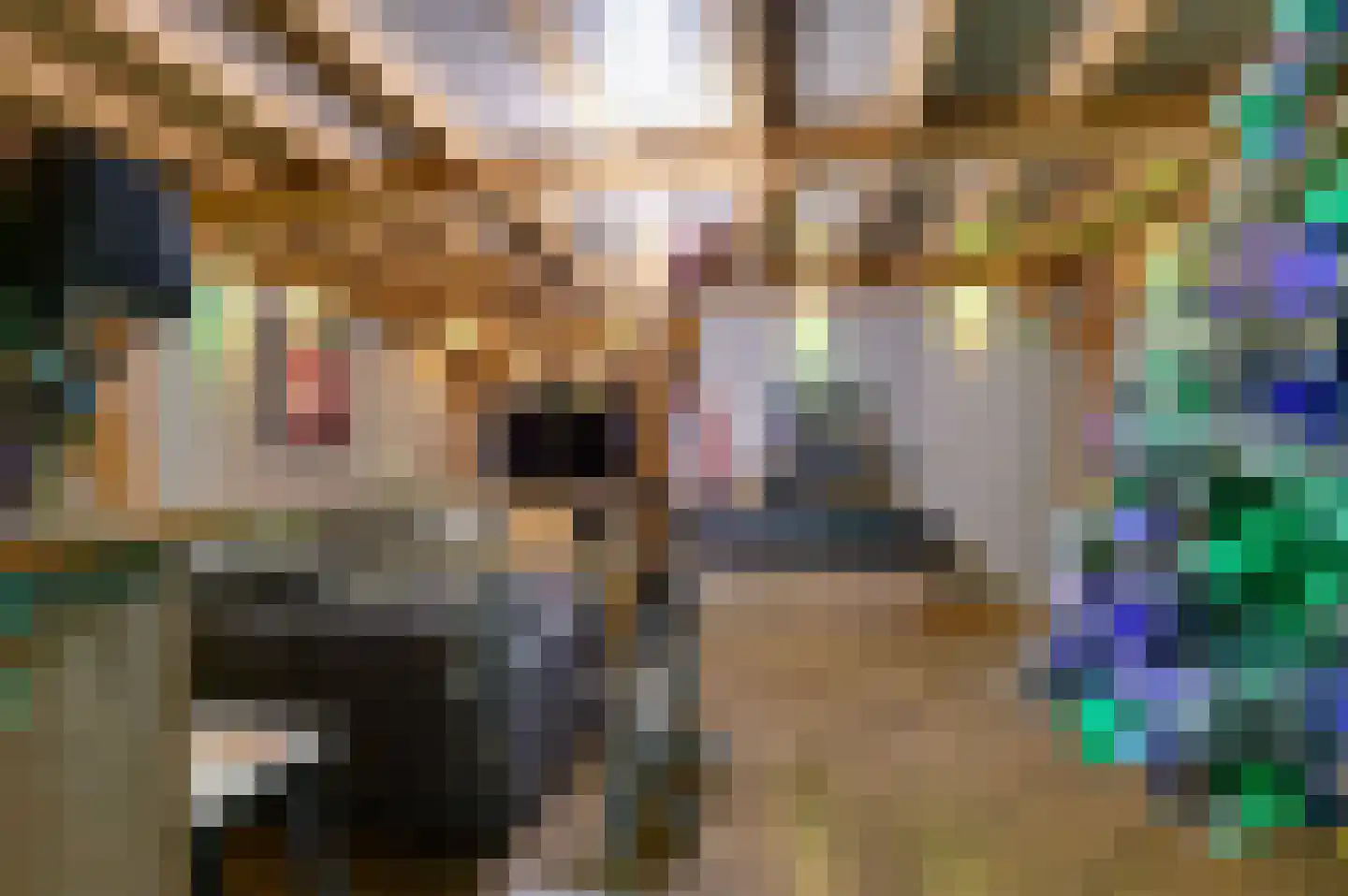 Hoefakker 10 Veen thumbnail 24