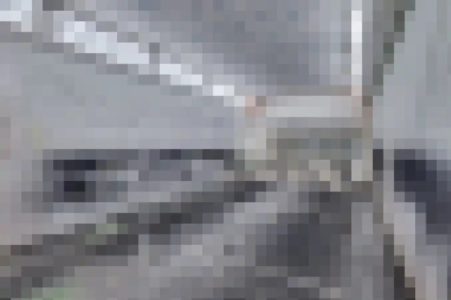 Hoefakker 10 Veen thumbnail 30