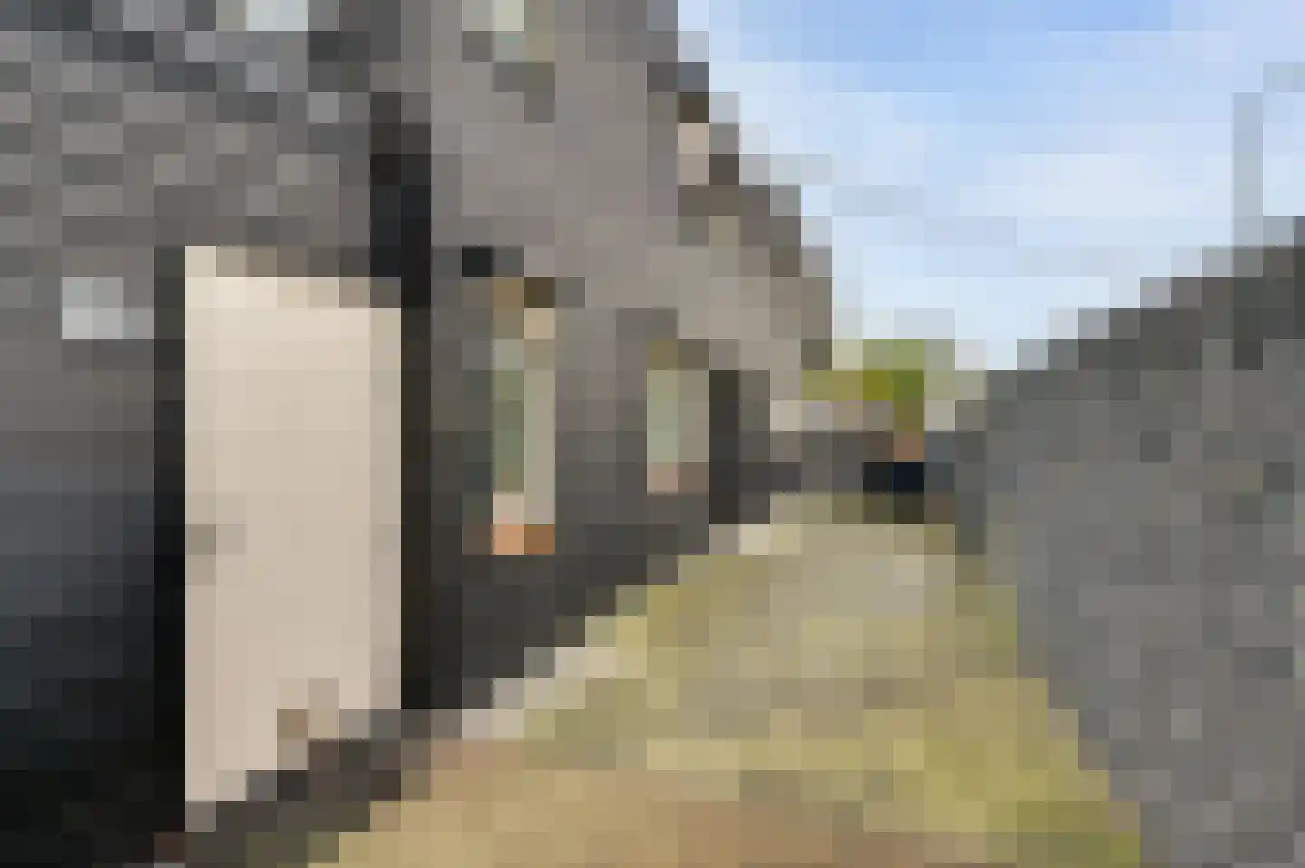 Hoefakker 10 Veen thumbnail 37