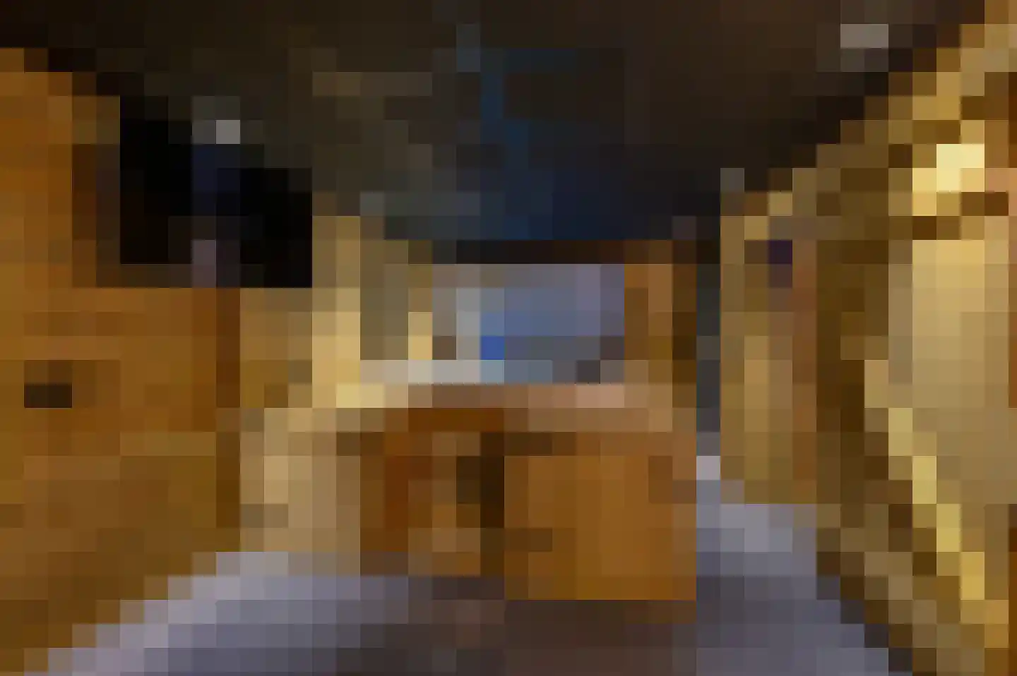 Hoefakker 10 Veen thumbnail 42