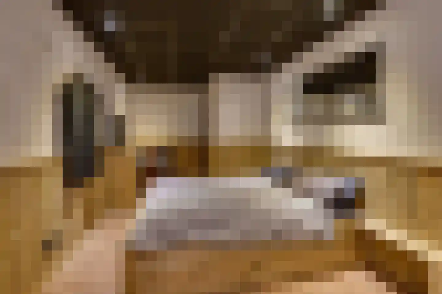 Hoefakker 10 Veen thumbnail 45