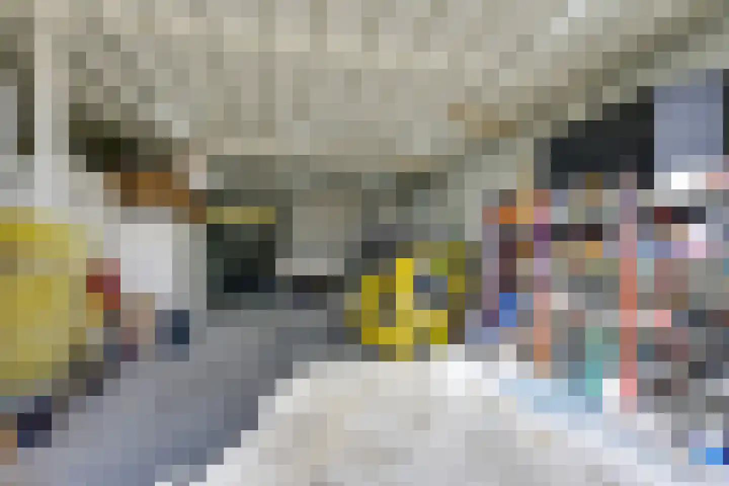 Hoefakker 10 Veen thumbnail 7