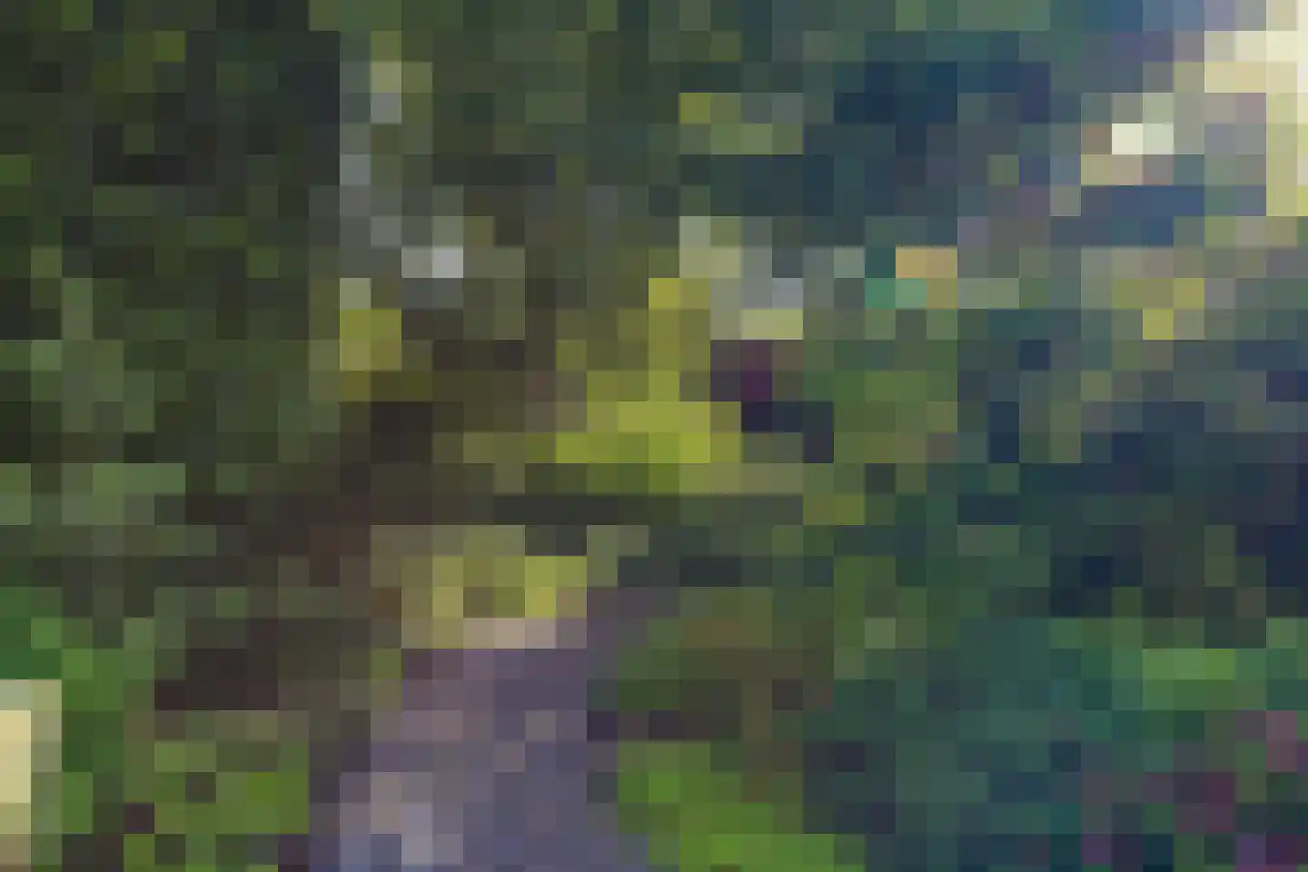 Hoefakker 15 Chaam thumbnail 52
