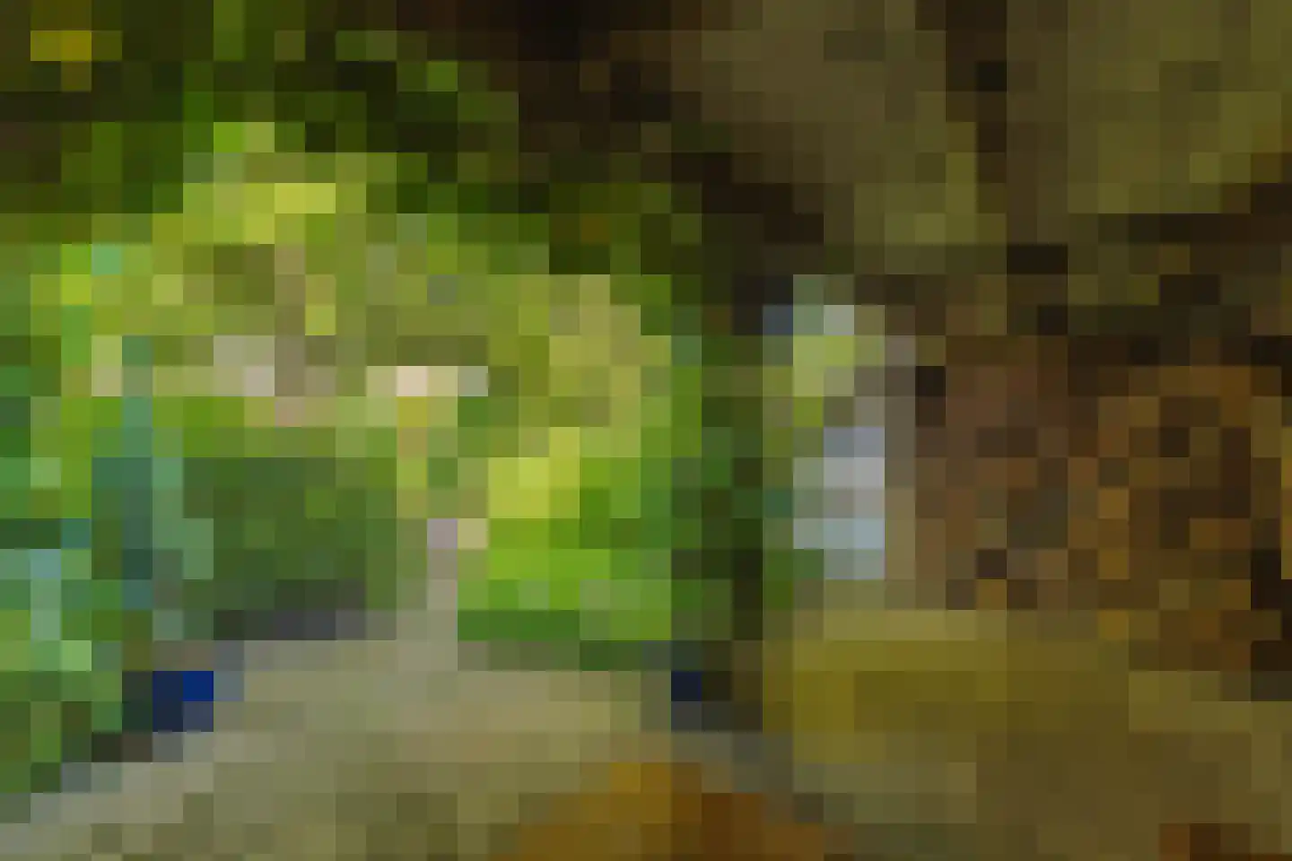 Hoefakker 15 Chaam thumbnail 54