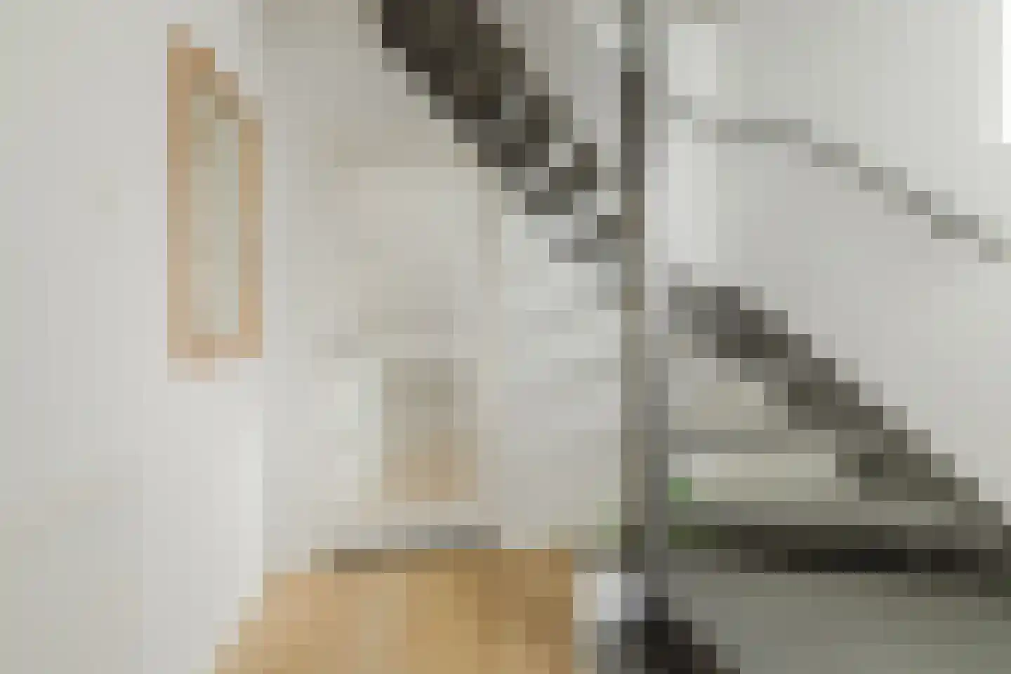 Hoefakker 15 Chaam thumbnail 6