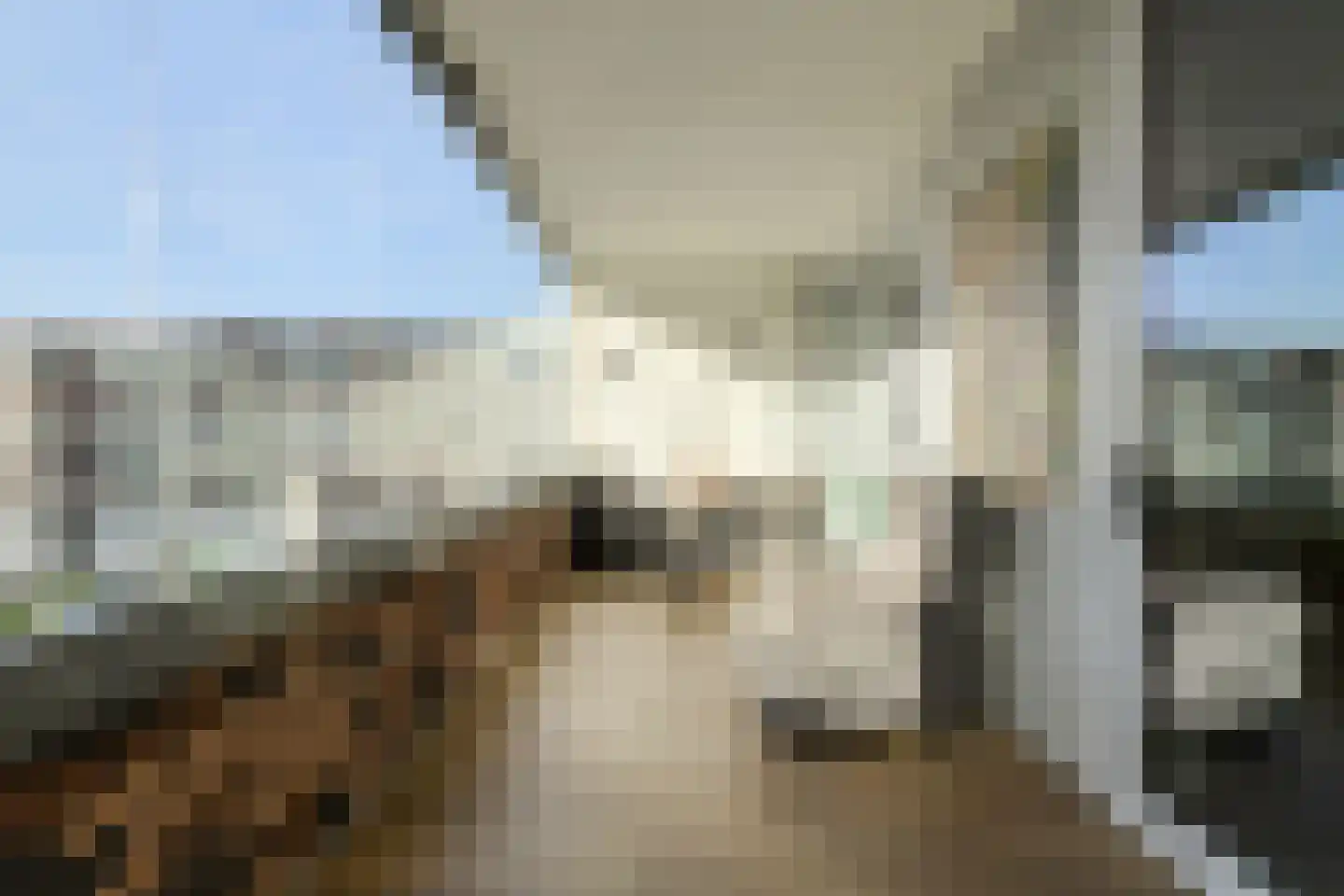Hoefakker 245 Oosterhout thumbnail 13