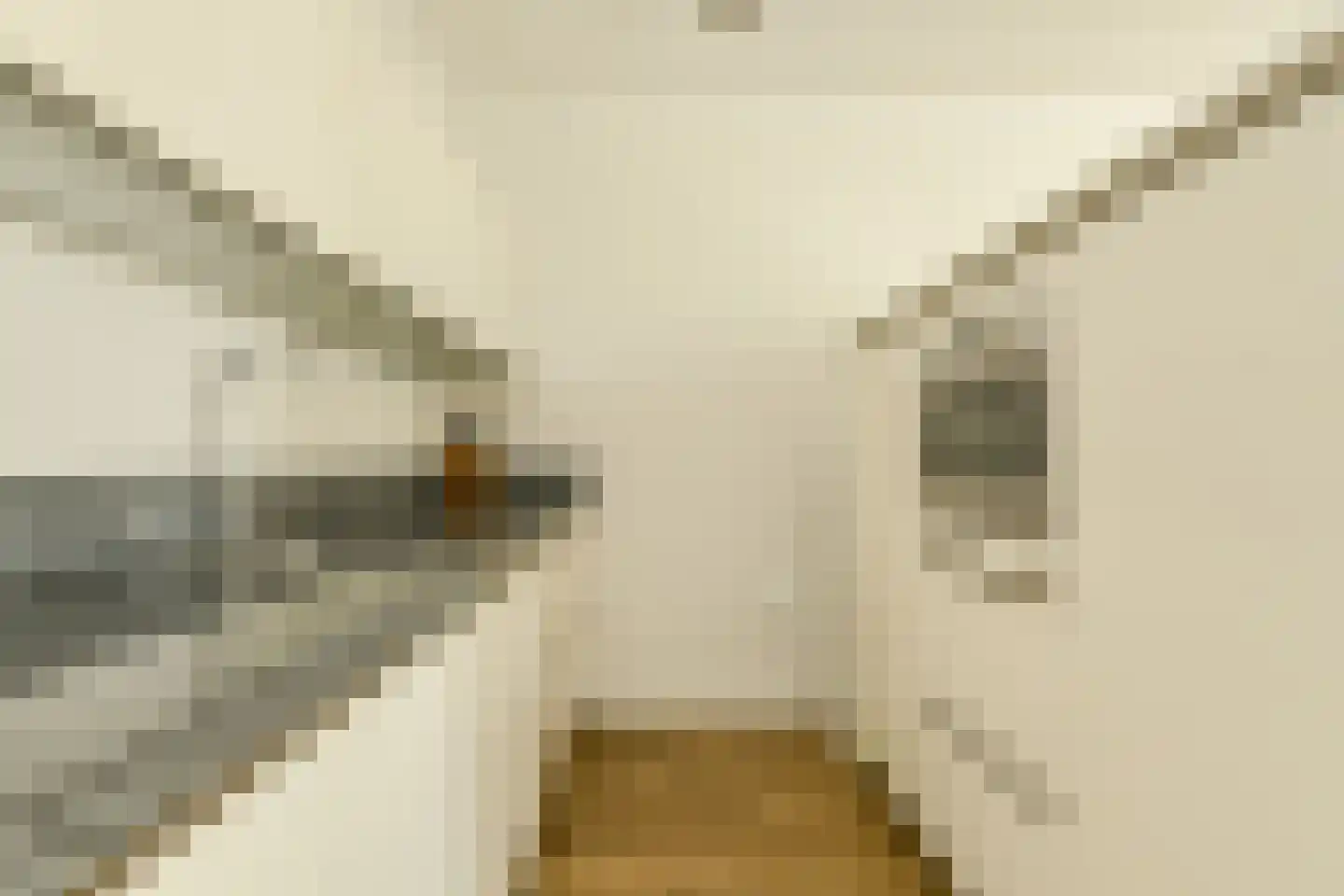 Hoefakker 245 Oosterhout thumbnail 15