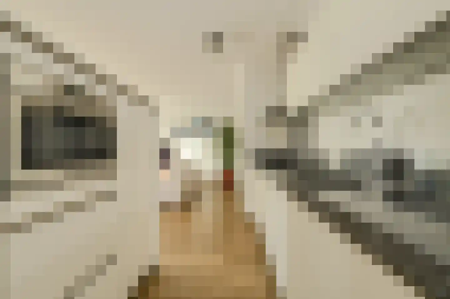 Hoefakker 245 Oosterhout thumbnail 16