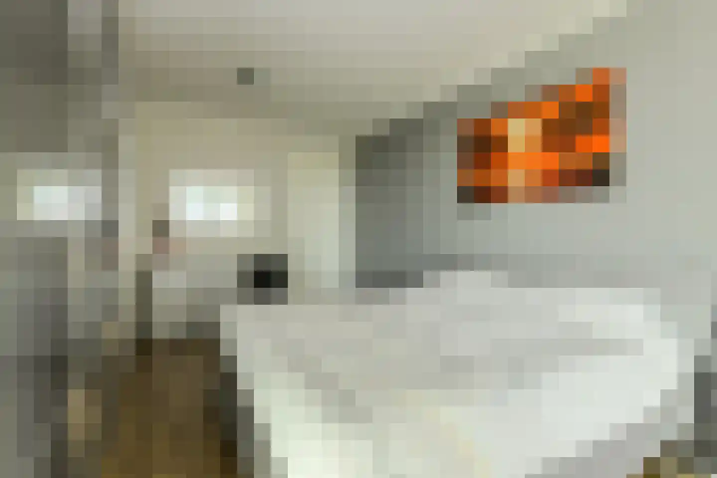 Hoefakker 245 Oosterhout thumbnail 21