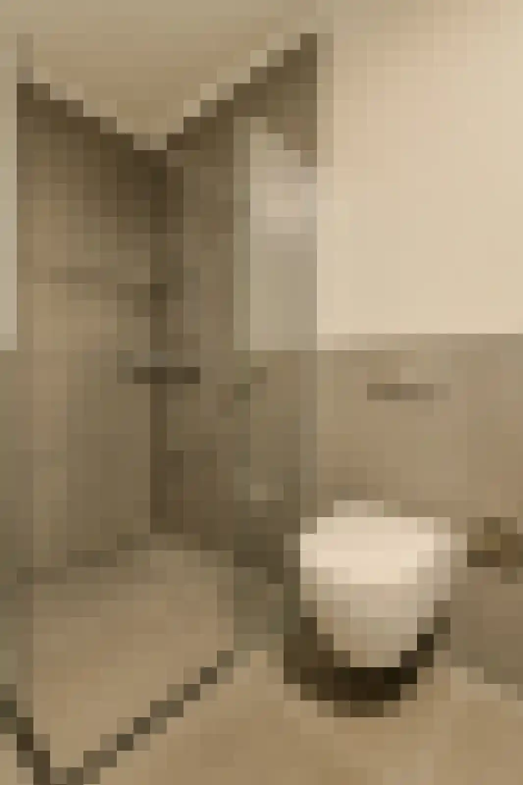 Hoefakker 245 Oosterhout thumbnail 27