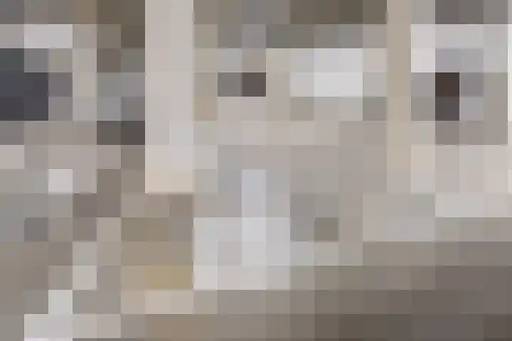Hoefakker 275 Oosterhout thumbnail 29