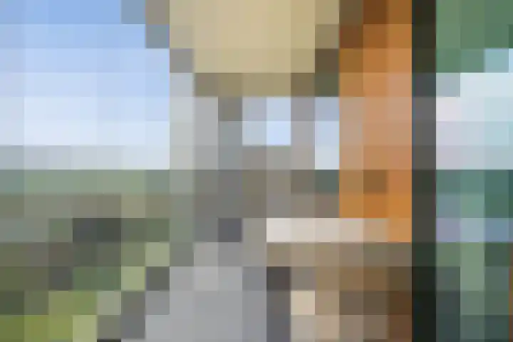 Hoefakker 307 Oosterhout thumbnail 28