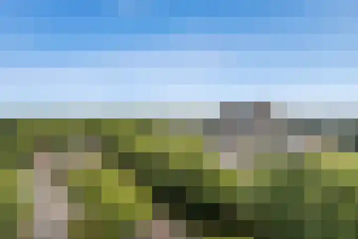 Hoefakker 307 Oosterhout thumbnail 30