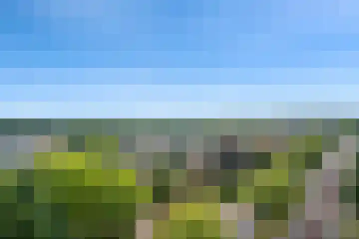 Hoefakker 307 Oosterhout thumbnail 31