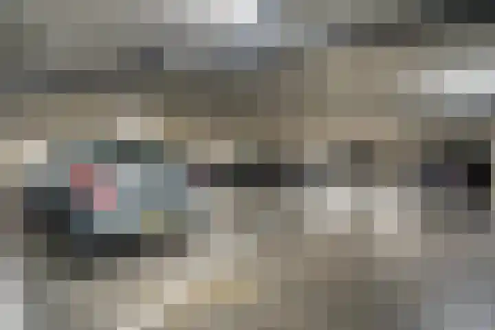 Hoefakker 307 Oosterhout thumbnail 33
