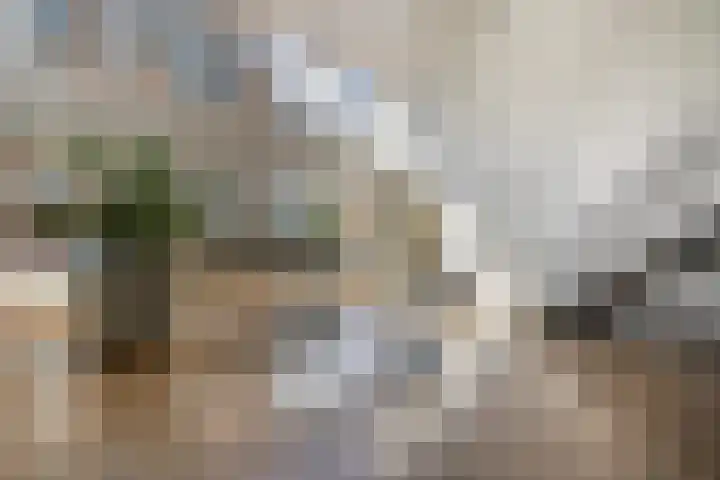 Hoefakker 307 Oosterhout thumbnail 35