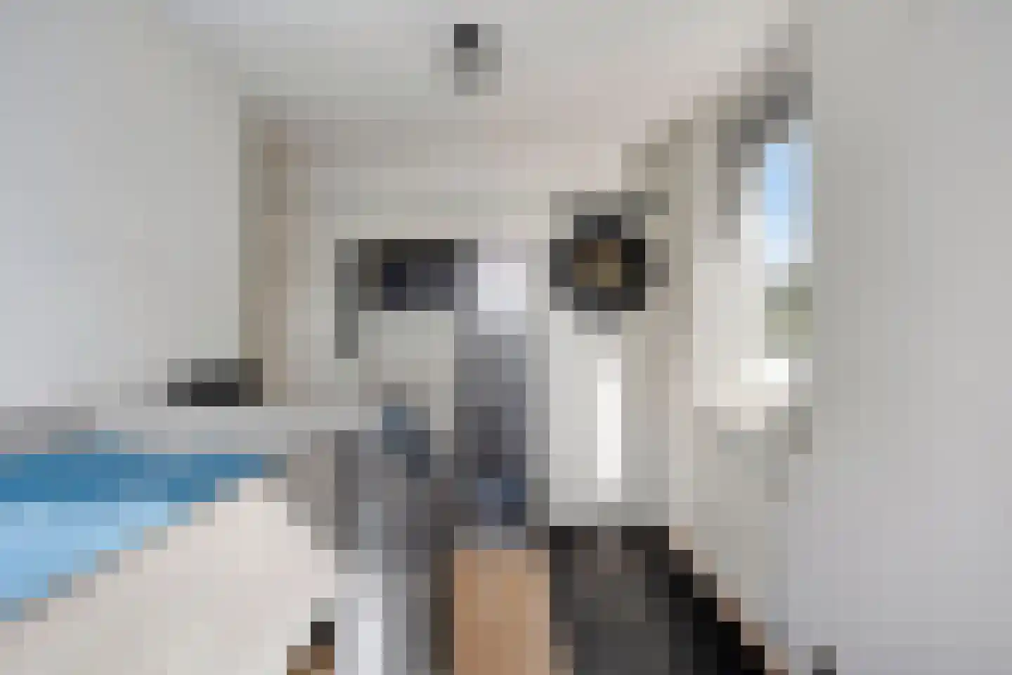 Hoefakkers 18 Westerhoven thumbnail 23
