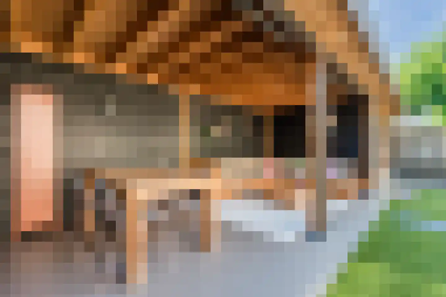 Hoefakkers 22 Westerhoven thumbnail 46