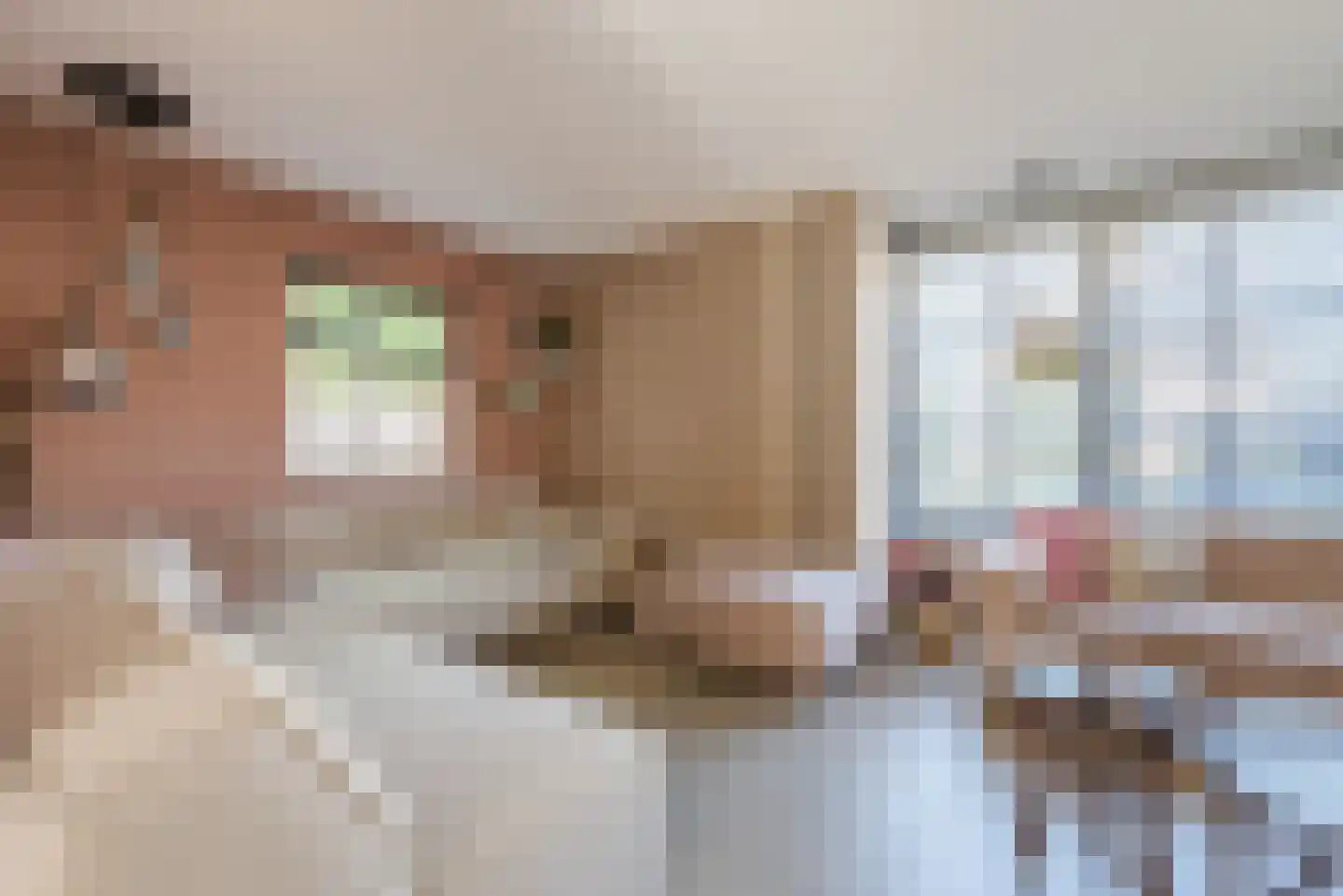 Hoefakkers 22 Westerhoven thumbnail 5