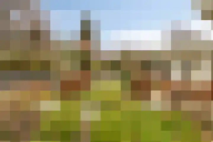 Hoefakkers 25 Westerhoven thumbnail 33