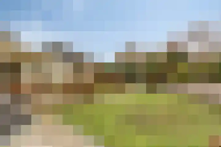 Hoefakkers 25 Westerhoven thumbnail 35