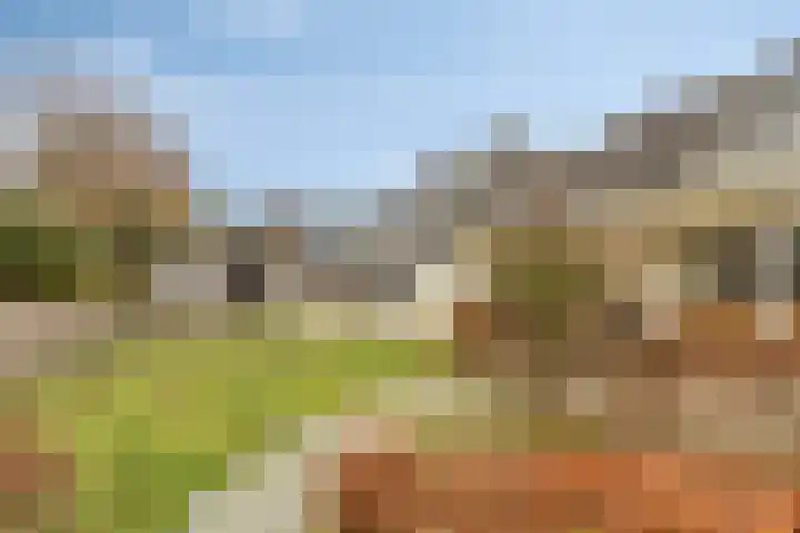 Hoefakkers 25 Westerhoven thumbnail 36