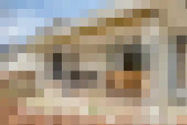 Hoefakkers 25 Westerhoven thumbnail 37