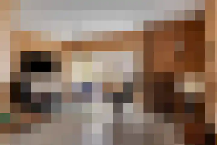 Hoefakkers 25 Westerhoven thumbnail 7