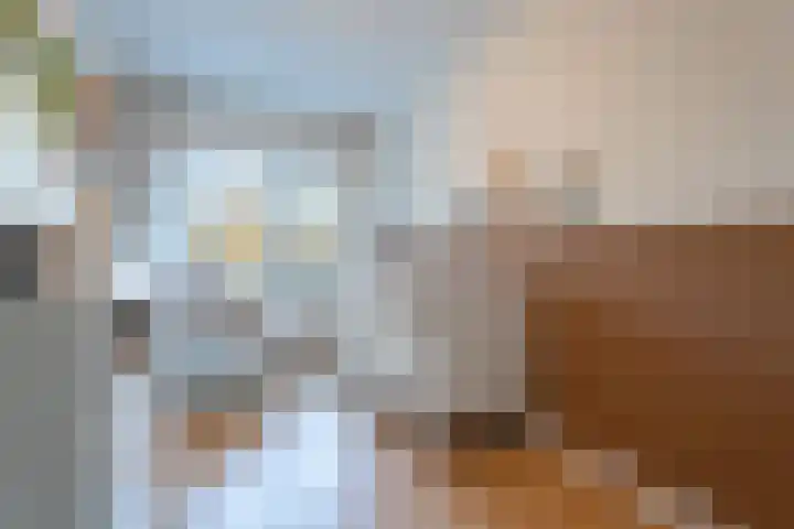 Hoefakkerstraat 49 Tilburg thumbnail 18