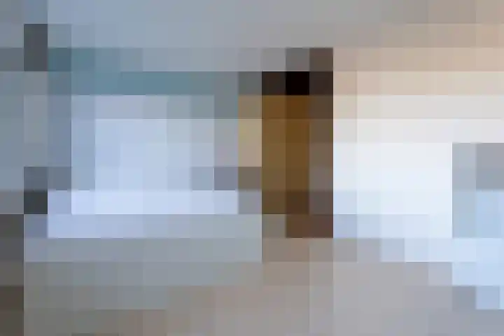 Hoefakkerstraat 49 Tilburg thumbnail 25