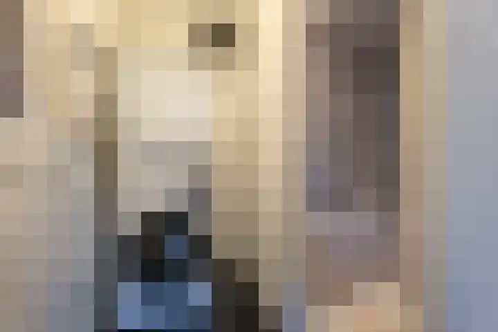 Hoefakkerstraat 49 Tilburg thumbnail 9