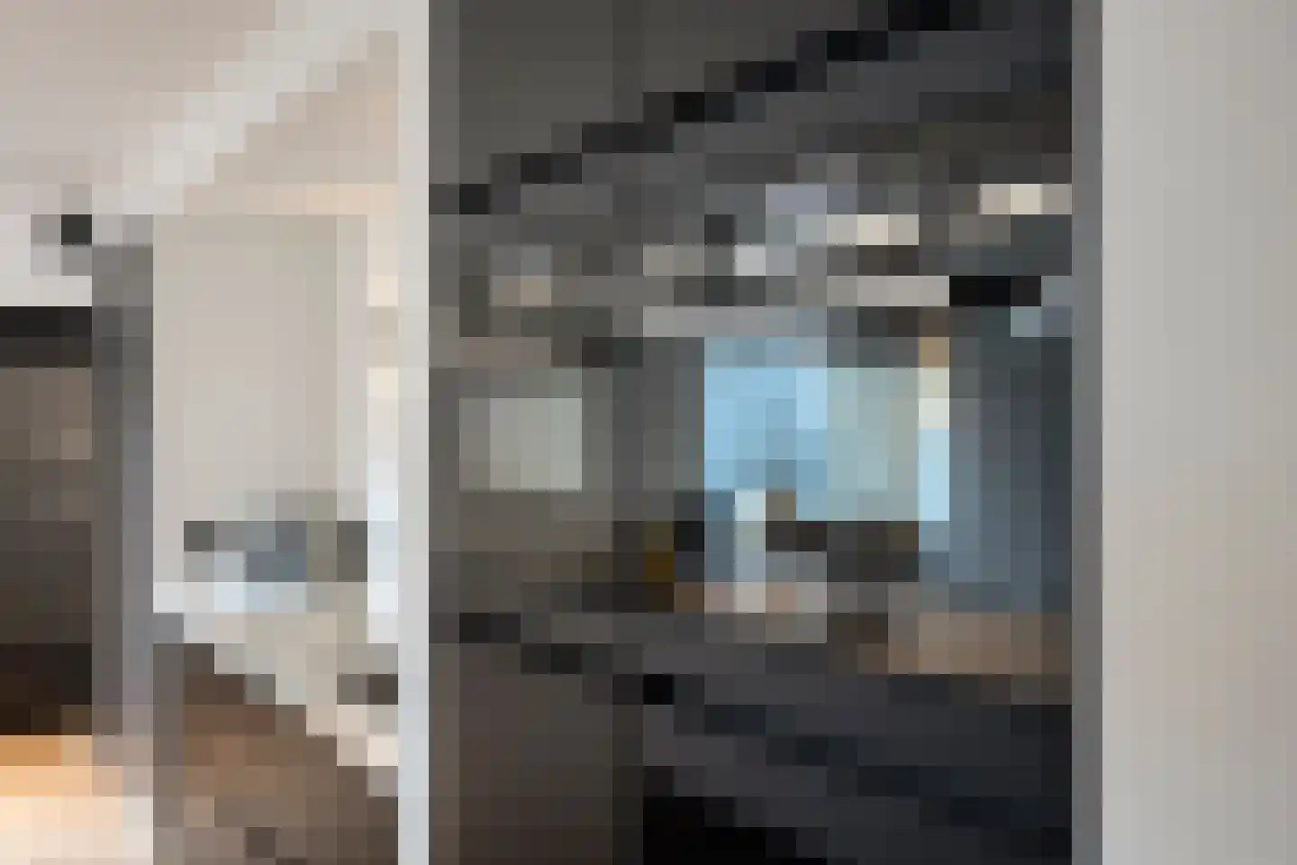 Hoefakkerstraat 79 Tilburg thumbnail 13