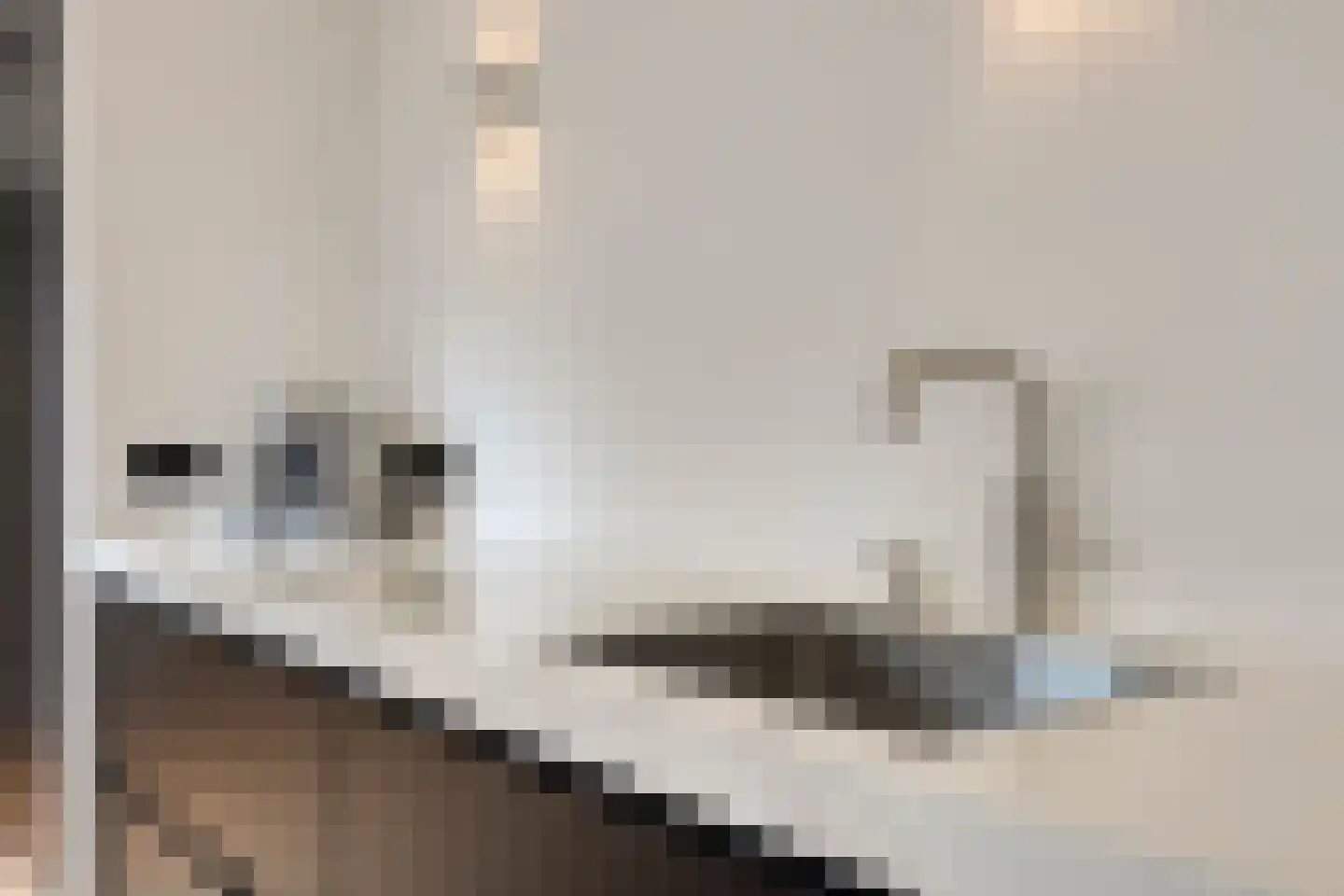 Hoefakkerstraat 79 Tilburg thumbnail 15