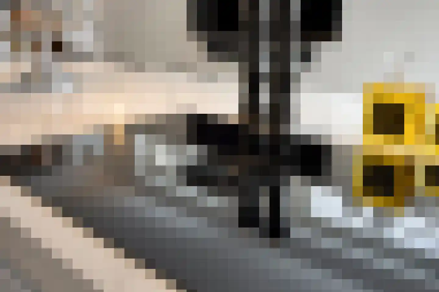 Hoefakkerstraat 79 Tilburg thumbnail 16