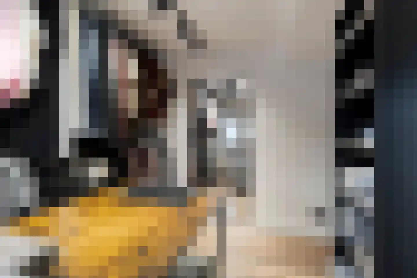 Hoefakkerstraat 79 Tilburg thumbnail 29