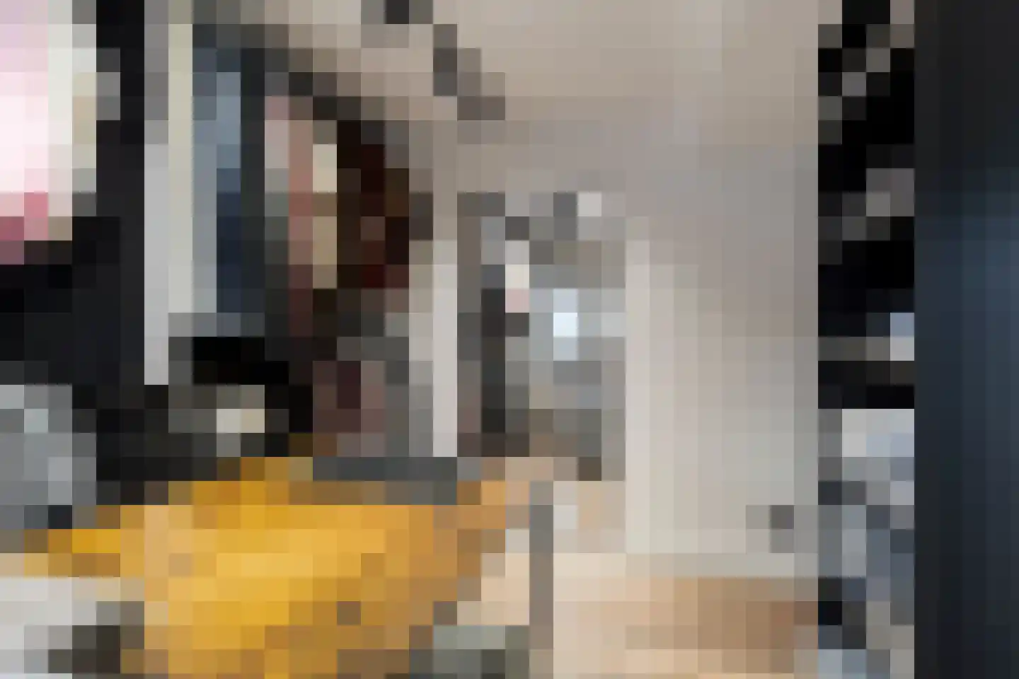 Hoefakkerstraat 79 Tilburg thumbnail 30