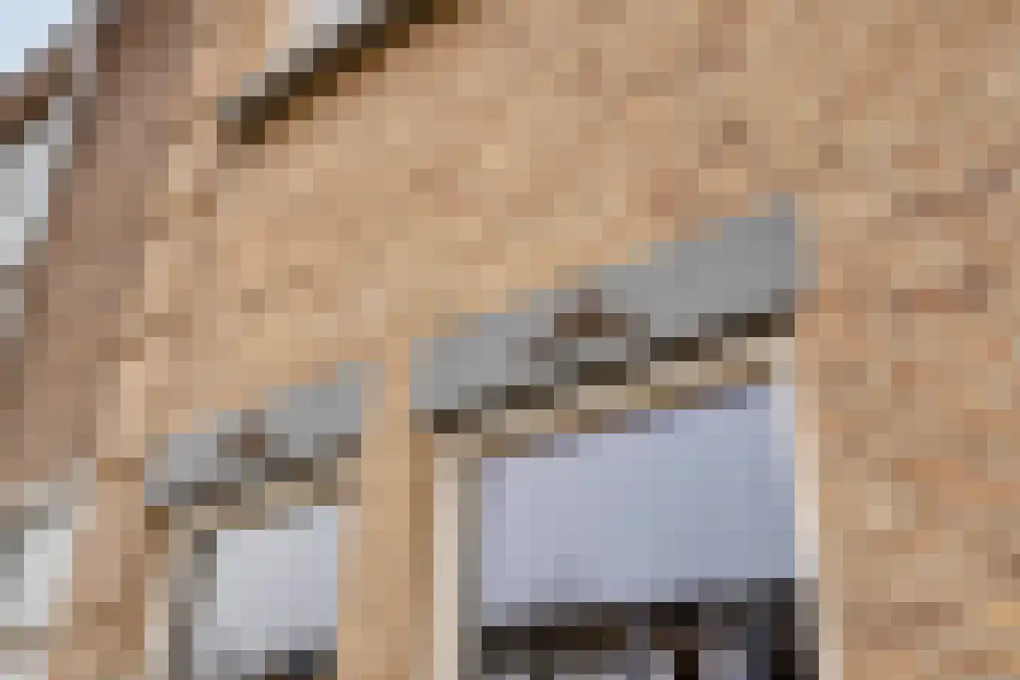 Hoefakkerstraat 79 Tilburg thumbnail 7
