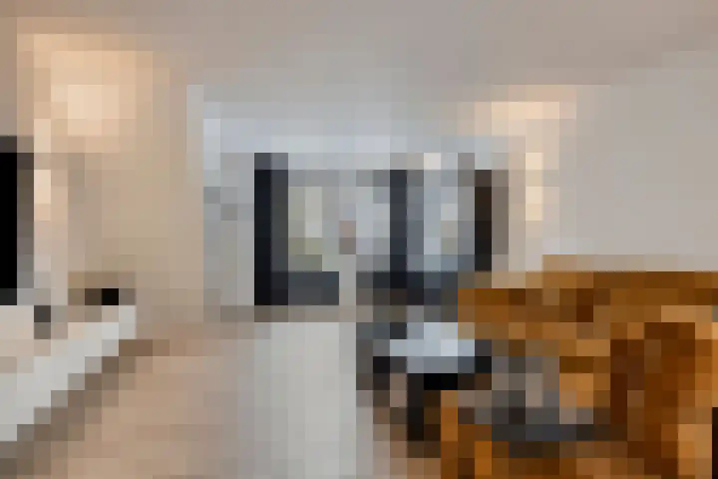 Hoefakkerstraat 79 Tilburg thumbnail 9