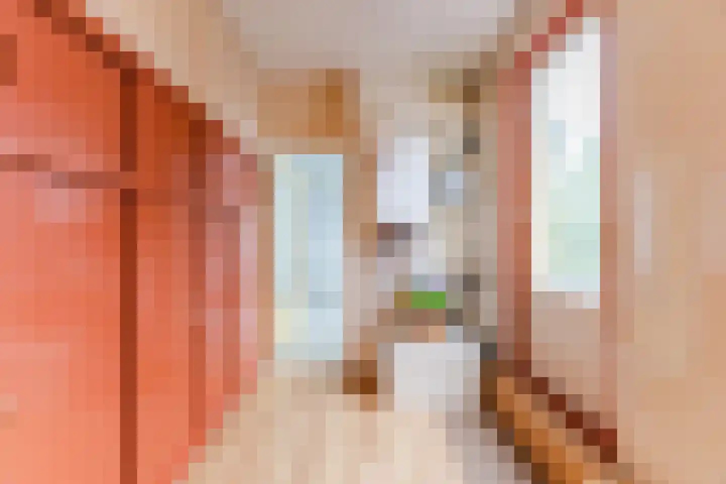 Hoefakkerstraat 87 Tilburg thumbnail 27